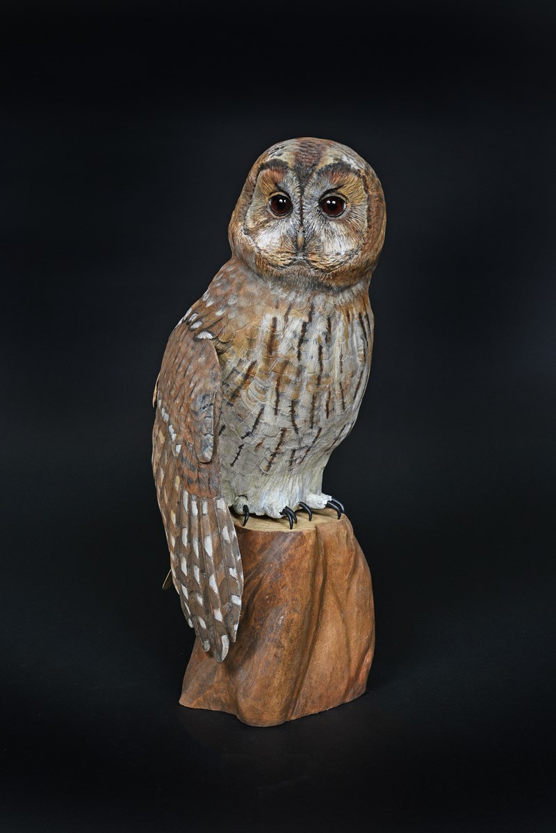 Tawny Owl by Maggie Port, 1st