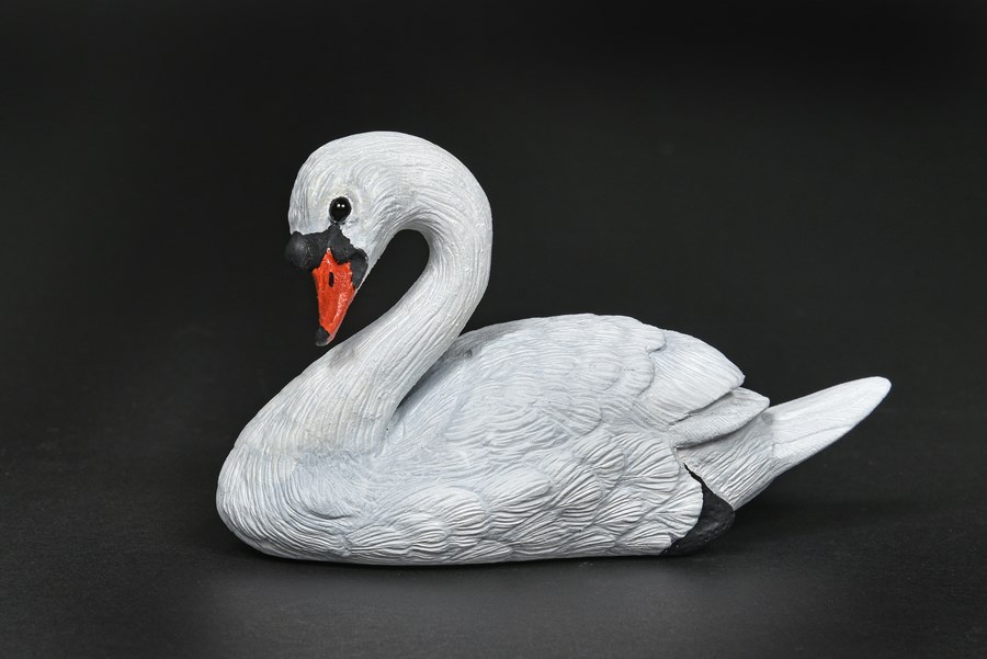 Mute Swan by Terry Getley, Highly Commended