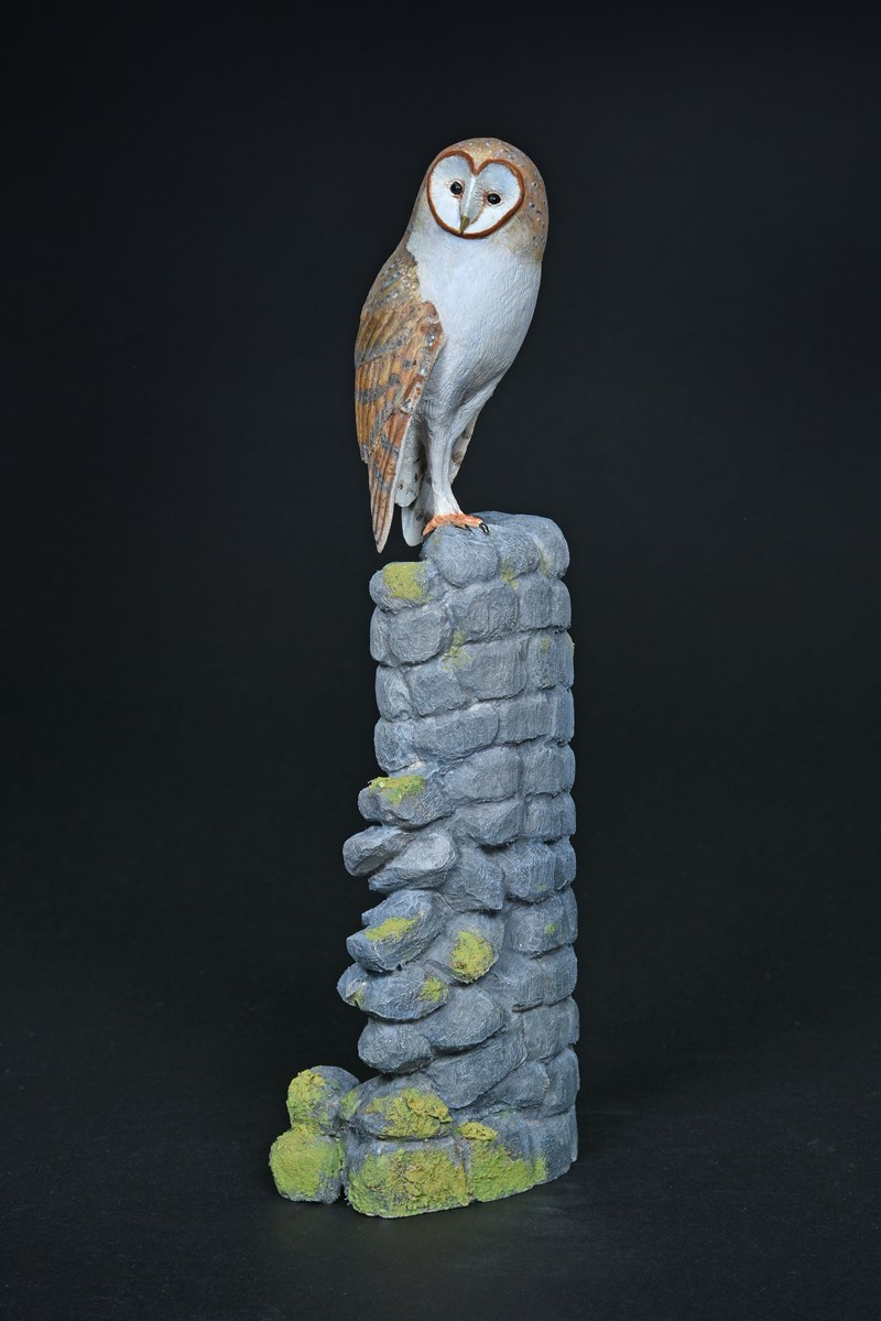 Barn Owl by Alan Pickersgill, 1st