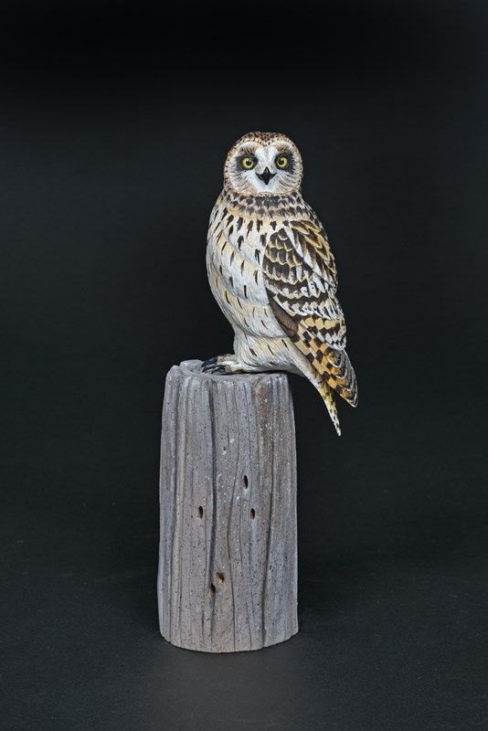 Short eared Owl by David Askew, 2nd