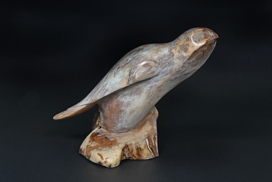 Gyr Falcon in found wood by Owen Wignall, 1st
