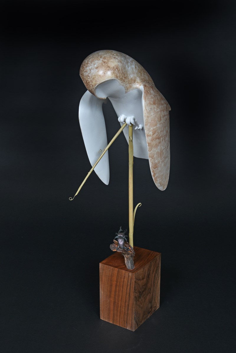 Barn Owl by Owen Wignall, 1st