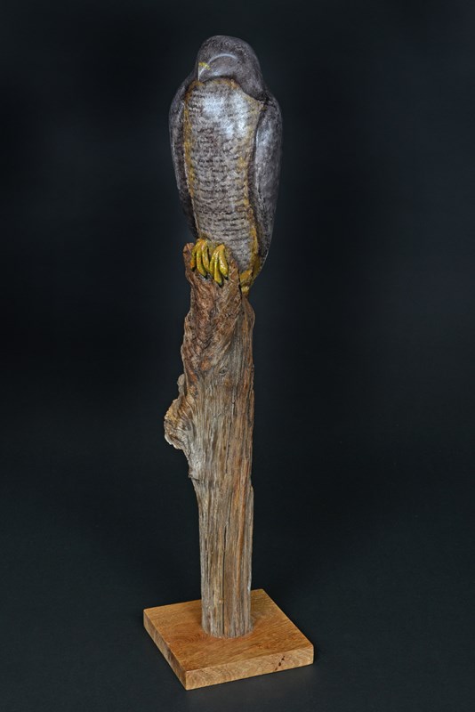 Peregrine Falcon in found wood, 2/3rd actual size by Owen Wignall