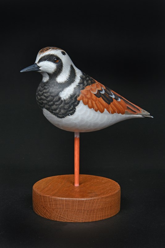 Turnstone by Paul Dalby, 2nd