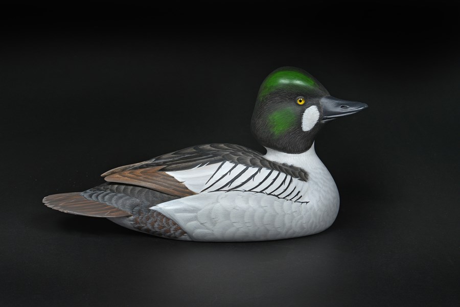 Goldeneye by Paul Dalby, 1st