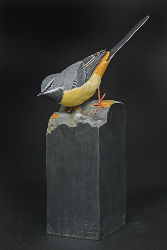 Grey Wagtail by Alan Pickersgill, Highly Commended