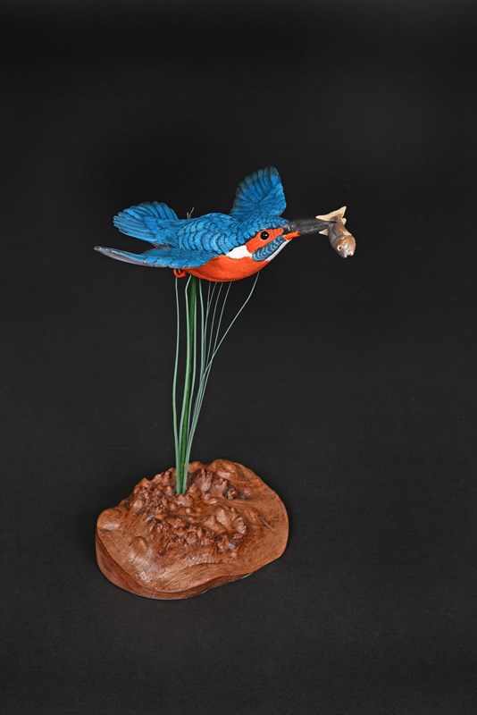 Kingfisher by Terry Getley