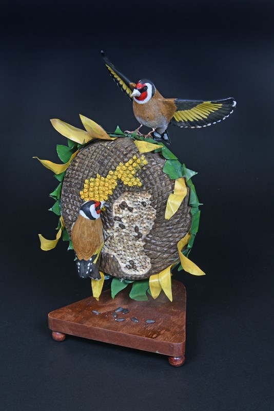 Goldfinch on sunflower by John White