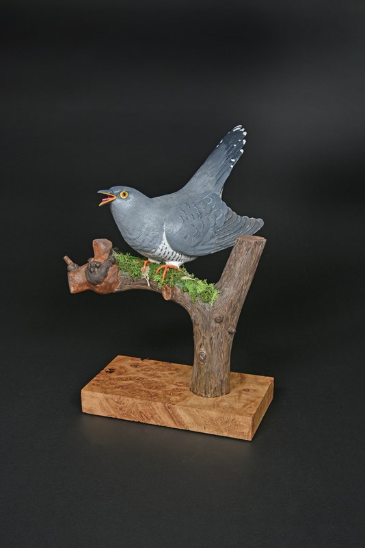 Cuckoo by John White