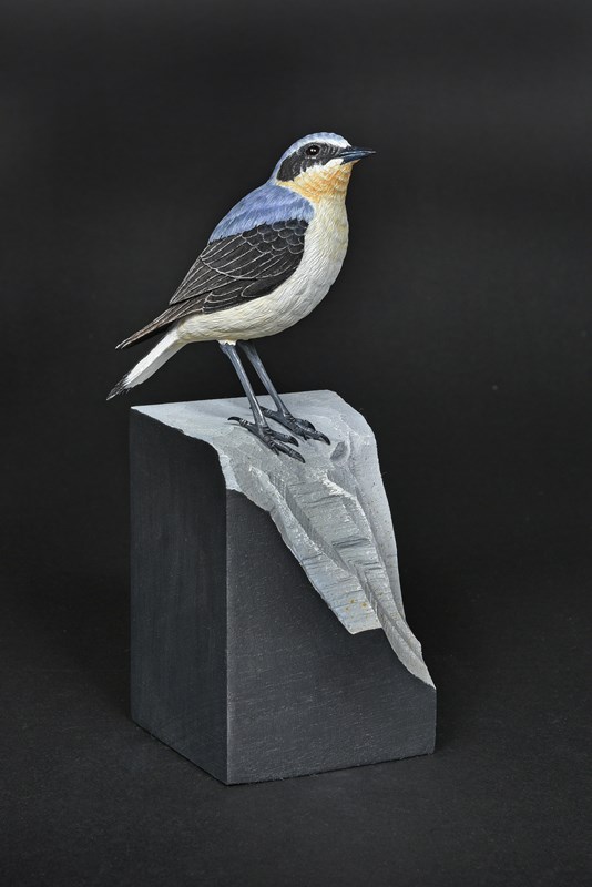 Wheatear by David Askew