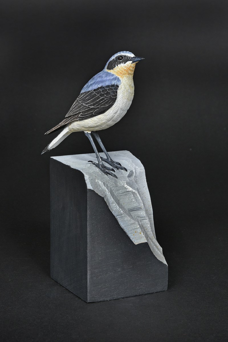 Wheatear by David Askew
