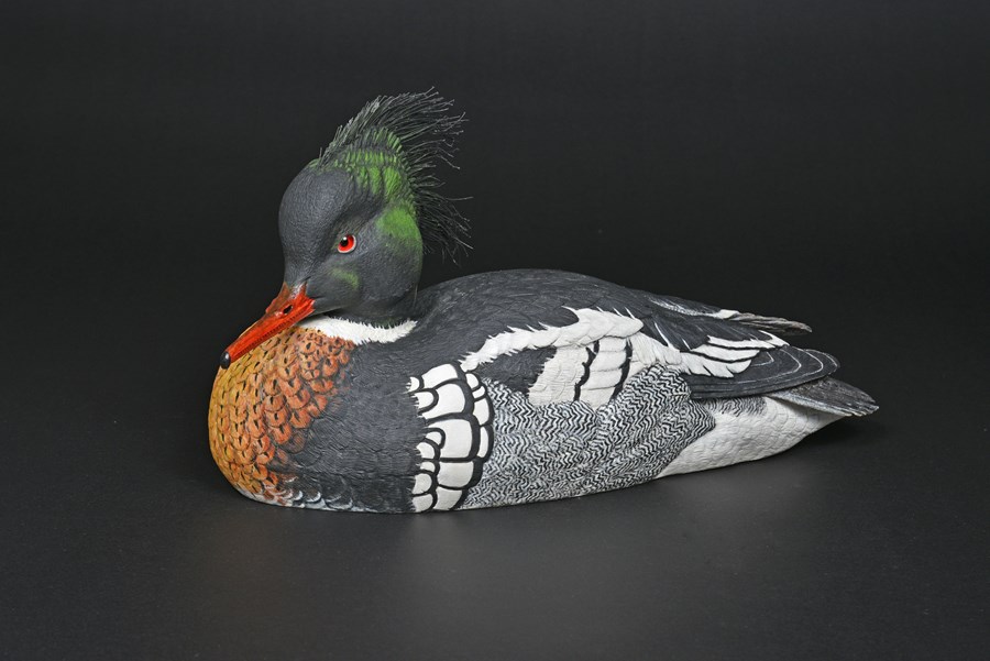 Red breasted Merganser by Richard Rossiter, 2nd & Artistic Award