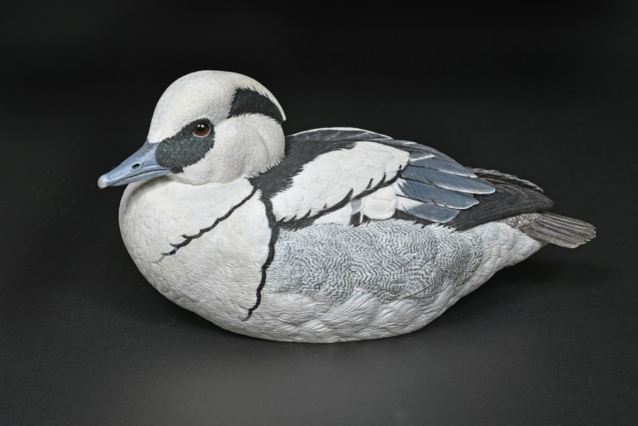 Smew by Richard Rossiter, 1st