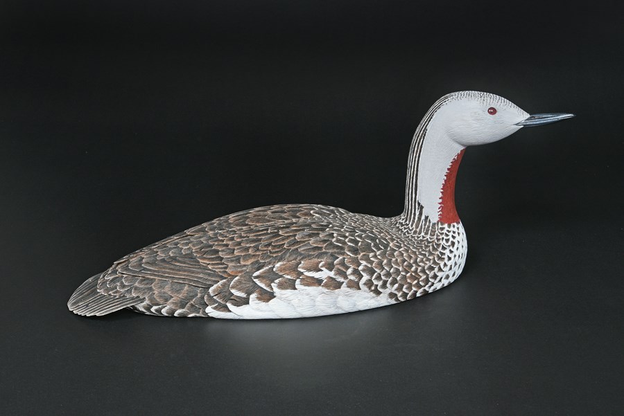 Rain Goose - Red throated diver by David Askew, Highly Commended