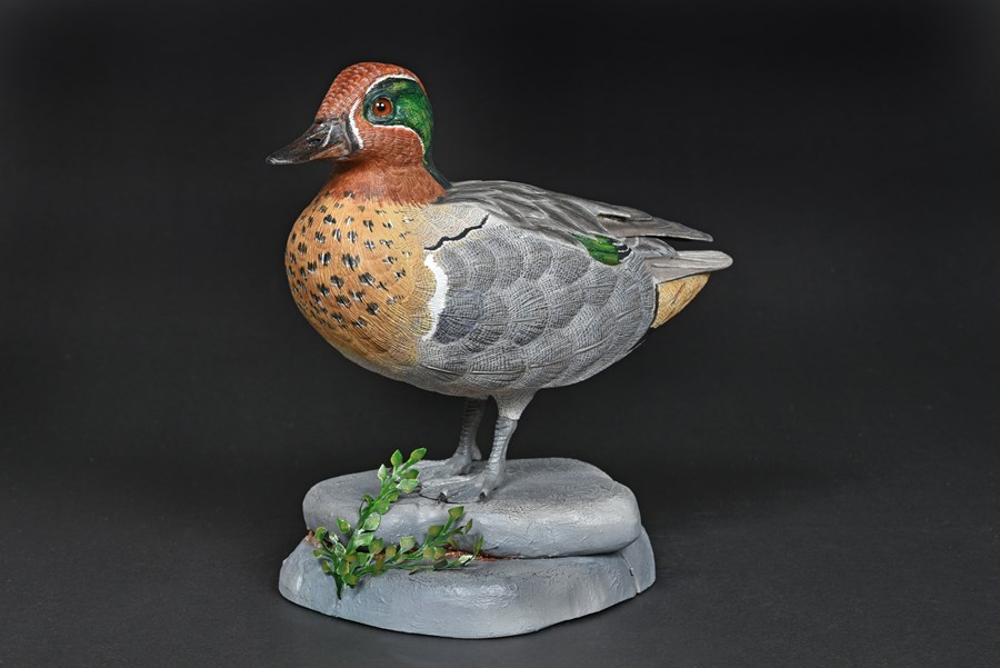 Green Winged Teal by Terry Getley