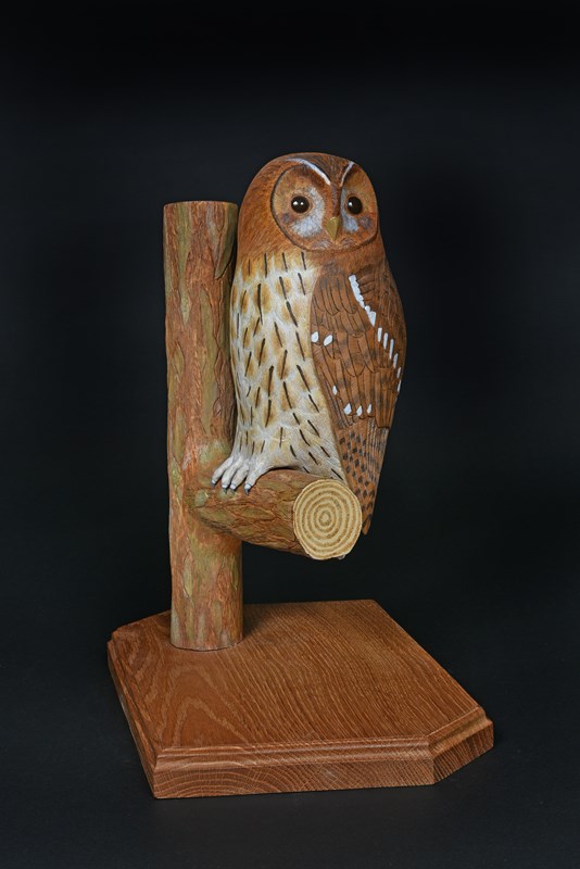 Tawny Owl by Sue Yates, Bronze