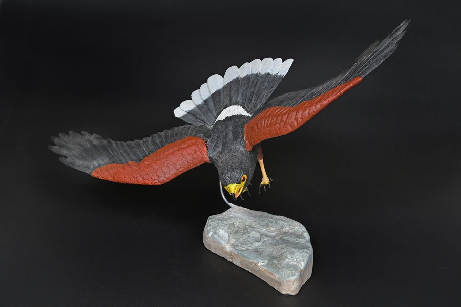 Harrier, 2/3rd lifesize by David Fewkes, Bronze