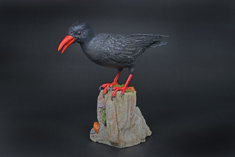 Chough by Martyn Bacon, Bronze