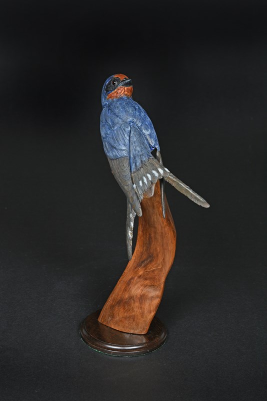 Barn Swallow by Jan Bartlett, Silver