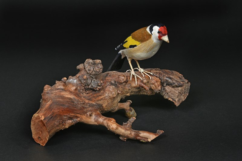 Goldfinch by Elizabeth Rolley