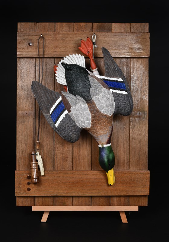 Drake Mallard (dead mount) by Paul Daunt, Gold