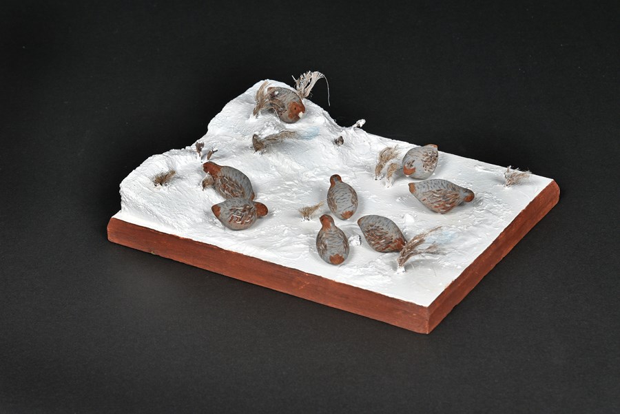 English Grey Partridge in snow by Paul Burton, Silver