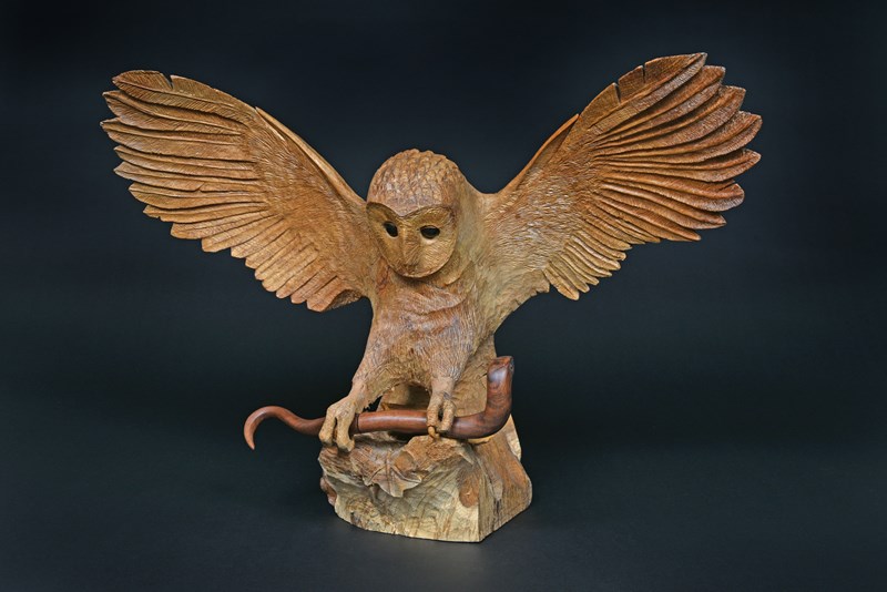 Barn Owl with slow worm in oak by Rob Davies, Gold