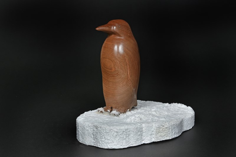 Penguin in walnut by Richard Cooper, Bronze