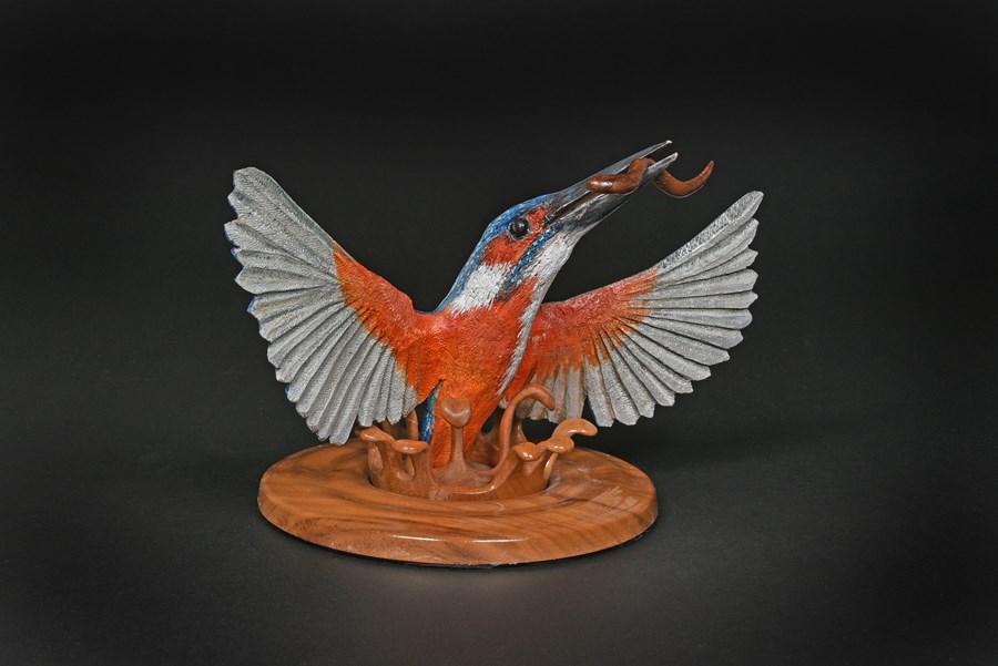 Kingfisher with elver exiting water by Rob Davies, Gold