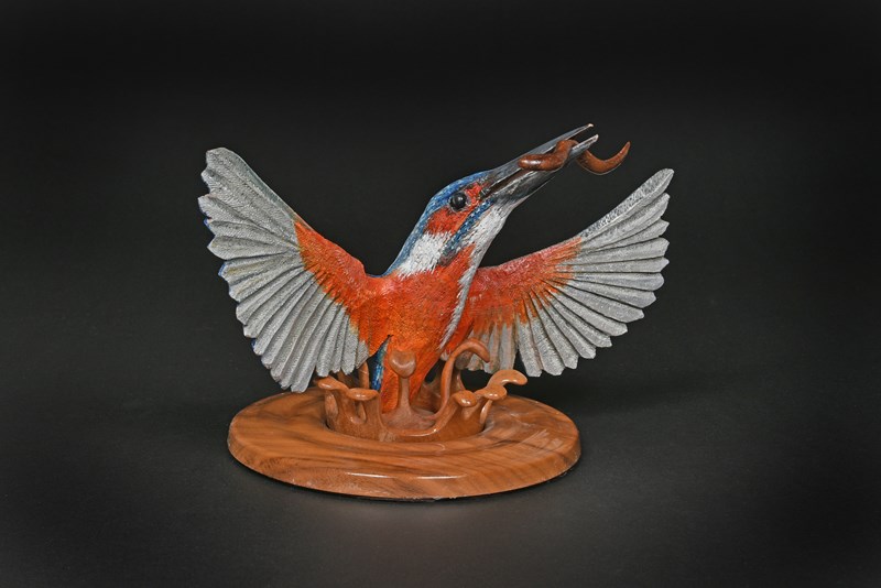 Kingfisher with elver exiting water by Rob Davies, Gold