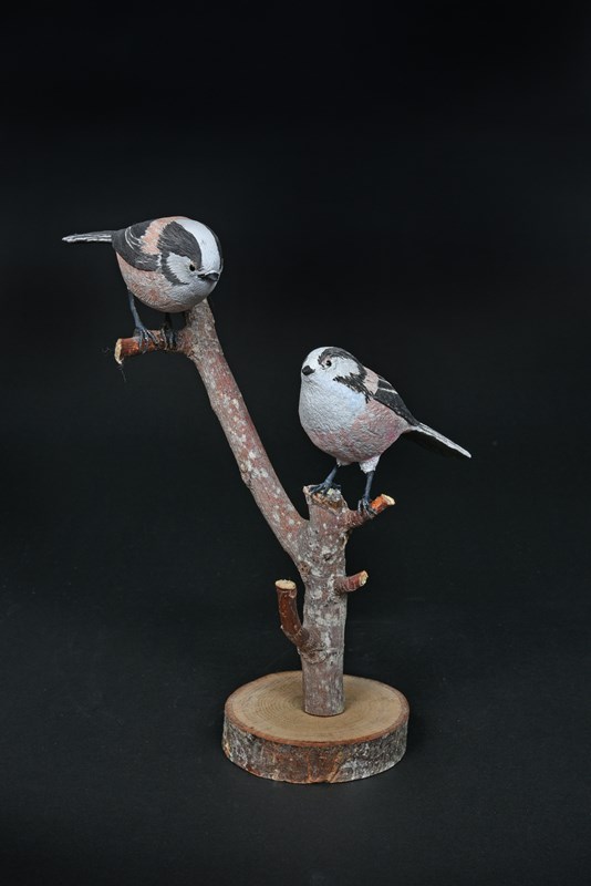 Adult Long-tailed Tit by Brian Price, Bronze