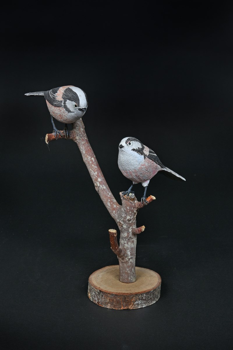 Adult Long-tailed Tit by Brian Price, Bronze