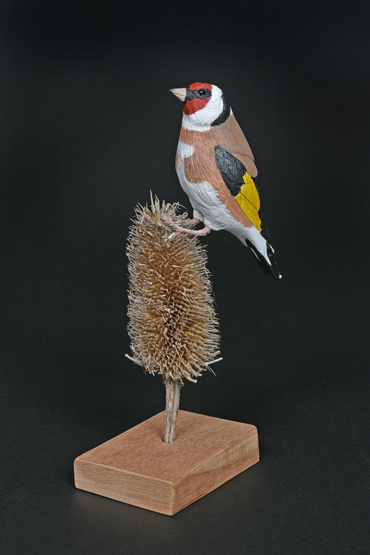 Goldfinch by Brea Janisch-Howe, Gold and Best Youth