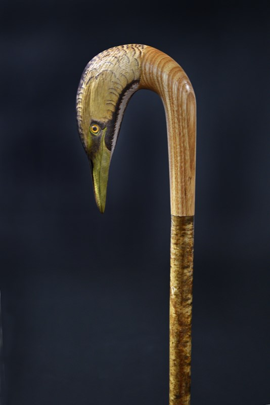 Bittern by Raif Killips, 1st