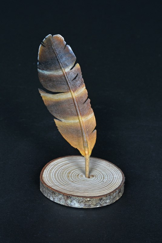 Quail feather by Phil Palmer, Highly Commended