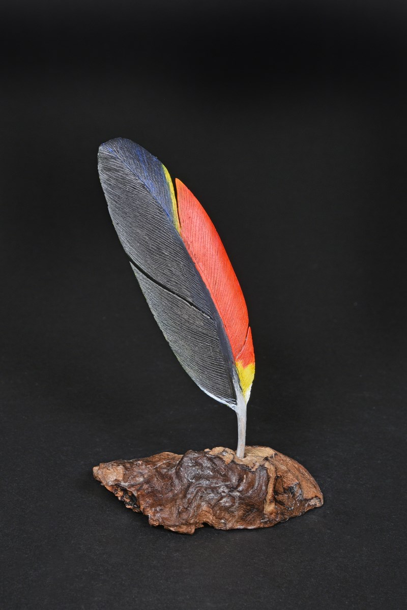 Amazon Parrot feather by Tom Hindarch, Highly Commended