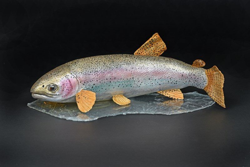 Rainbow Trout by Maggie Port