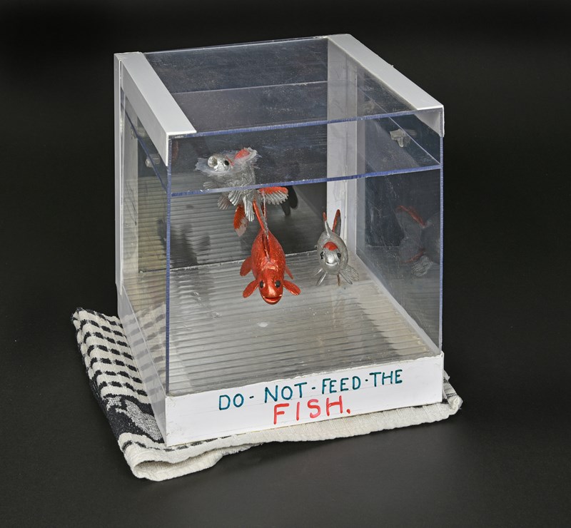 Fantail Goldfish by David Fewkes