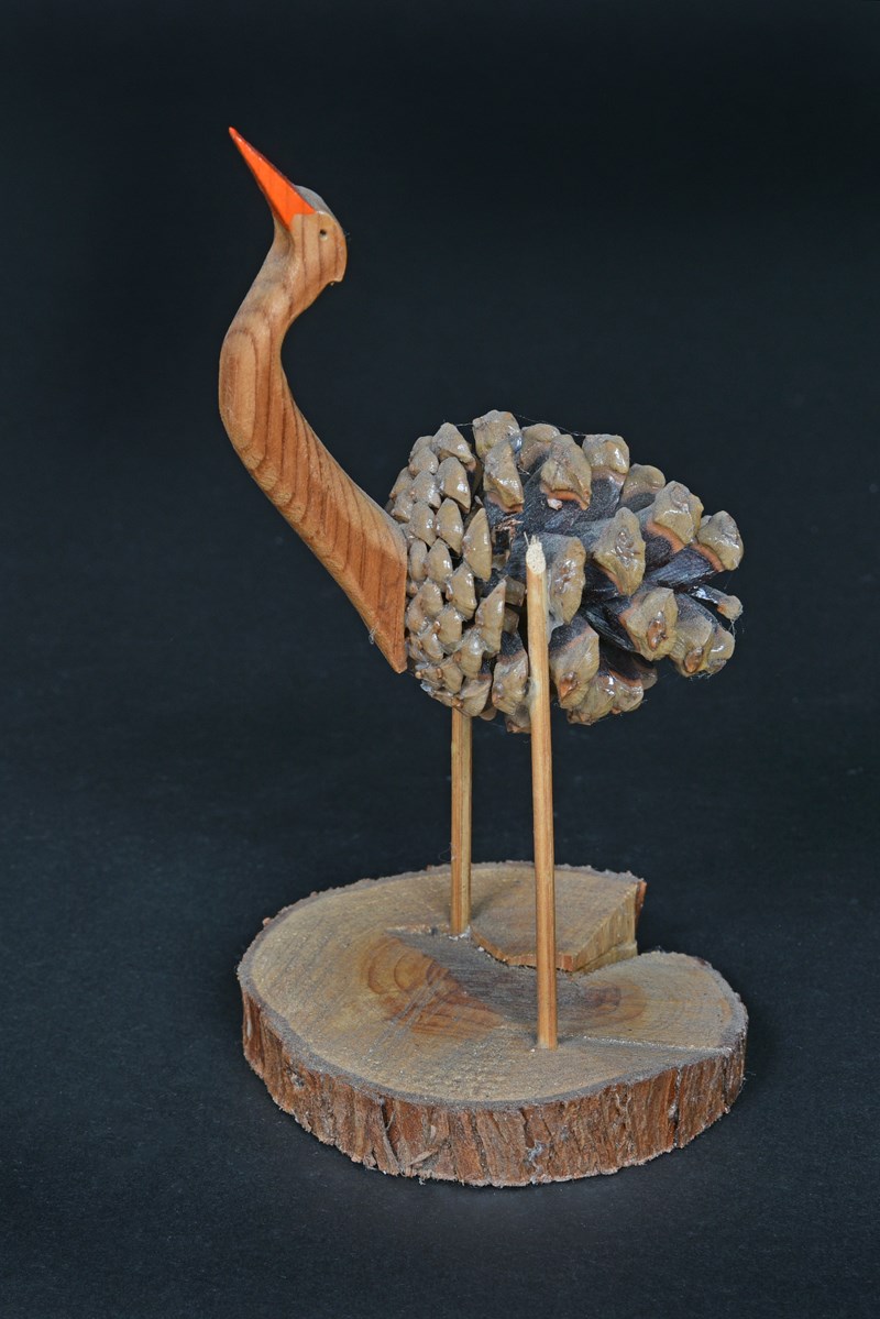 Big Bird by John Hodkin