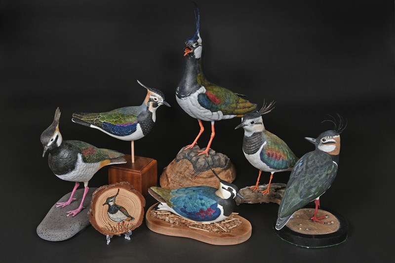 Regional Group Winners - Virtual Regional Group