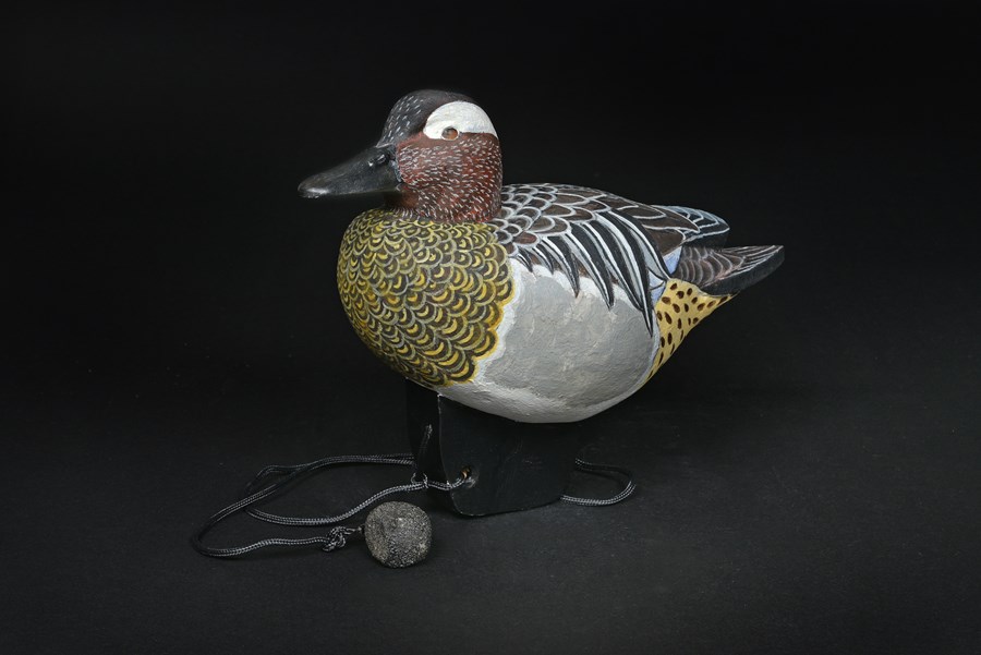 Garganey by Richard Rossiter, 1st