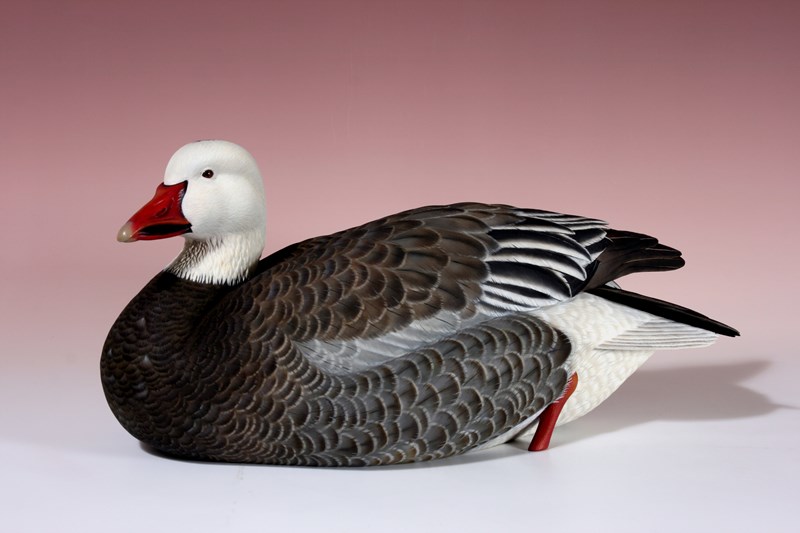 2009 Barry Woodcraft Blue Phase Snow Goose