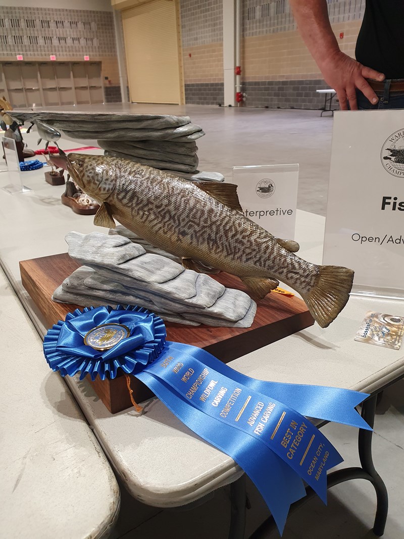 Marble Trout by Bo Wessman