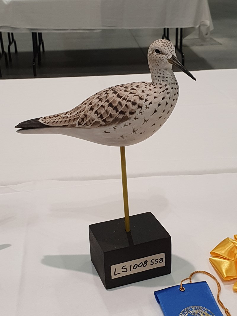 Redshank by David Askew