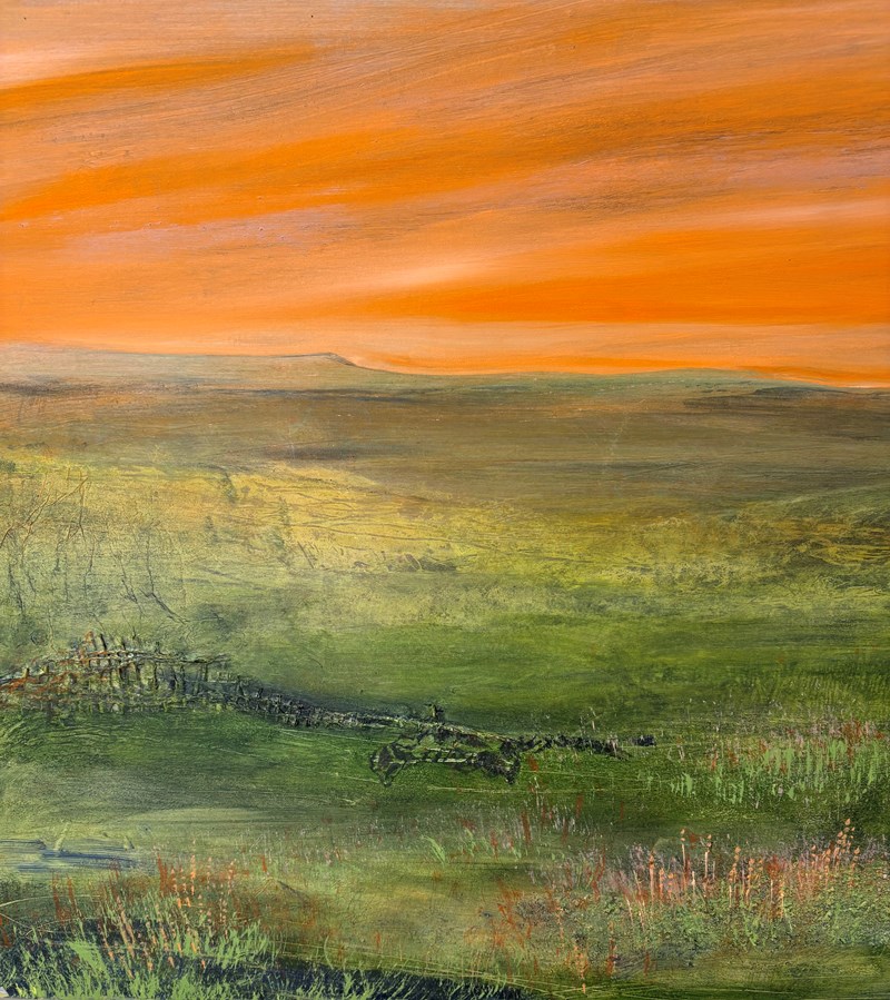 Grasslands