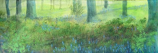 Bluebells 2