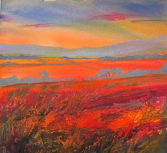 Lighting up the landscape