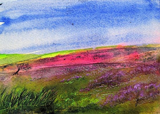 Peak heather moors
