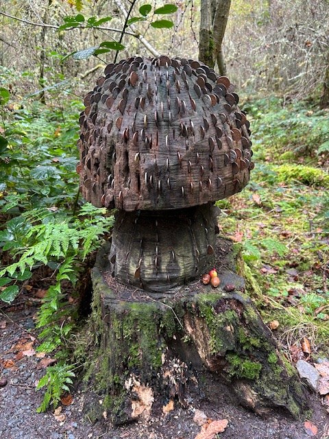 Coin Tree towards Doon Hill