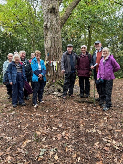 Cloutie Tree Doon Hill